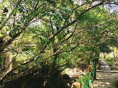 -东海大峡谷