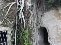 -石炮台公园