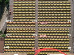 -禅宗少林·音乐大典