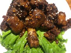 -福苗小骆驼烧烤(莲湖路店)