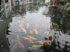 -湖鲜楼