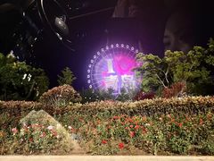 -琴岛之星摩天轮