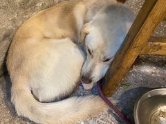 -夹夹大·蟹蟹大排档(财富又一城店)