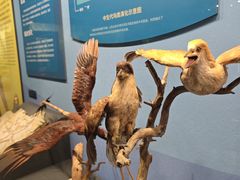 -国家自然博物馆