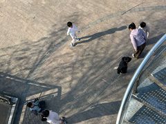 -羊山湖公园