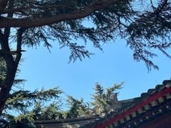 -湛山寺