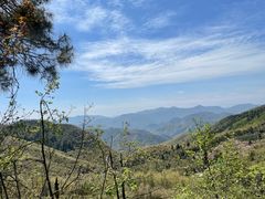 -莫干山风景区