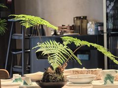 -院子餐厅·大锅菜·老杭帮(桥西直街店)