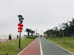 -野狸岛