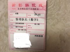 -枫花园汽车电影院(朝阳公园店)