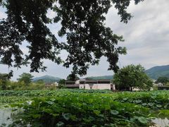 -呈坎景区