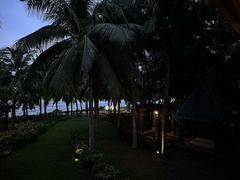 -日落吧·海景咖啡厅·餐酒吧·鸡尾酒·下午茶·乐队表演·浪漫夕阳·三亚文华东方酒店