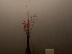 -觀芷隐轩