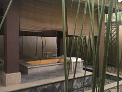 -春晖园度假酒店温泉