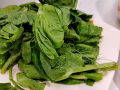豌豆尖-四川简阳羊肉汤火锅(金台路店)