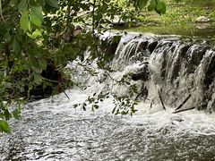 -长白岛森林公园