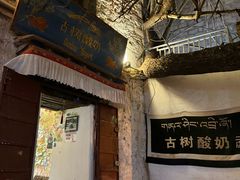 -古树酸奶(八廓南街店)