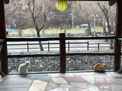 -北京水岸山吧度假村(雁栖镇店)