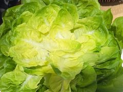 -九孔·筒骨莲藕汤锅(大明宫万达店)