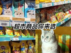 -世纪联华超市(浦电路店)