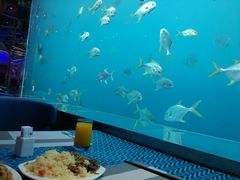 -瑞德姆美人鱼海底演艺主题餐厅(亚龙湾店)