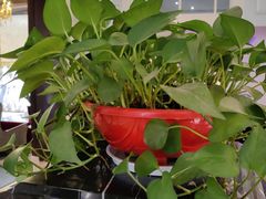 -王府井酒店(金桥港湾店)