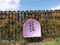 -佛手湖郊野公园