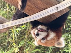 -宁波野生动物园
