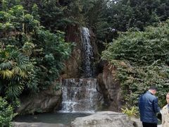 -金鸡山公园