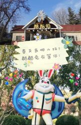 -酷酷兔少儿拓展天地