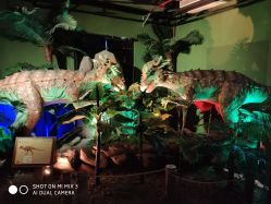 -恐龙探索乐园(磁器口店)