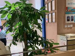 -Aqua Oasis 水天堂(相城天虹商场店)