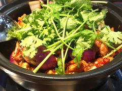 鸡煲-凤兴鸡煲(宝安海雅店)