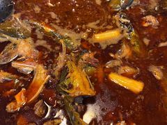 -花鲢鱼头火锅(春城东路店)