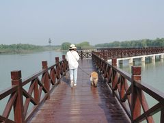 -南湖湿地公园