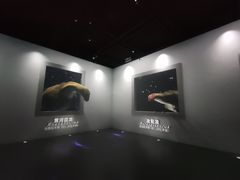 -天津自然博物馆