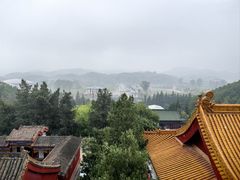 -中原大佛景区