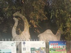 -府君山公园