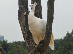 -杭州野生动物世界