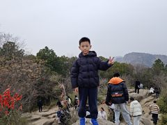-灵岩山风景区