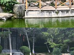 -中国唐苑