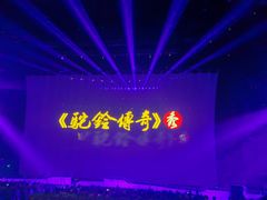 -《驼铃传奇》秀