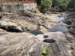 -广州白江湖森林公园