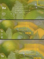 -紫御国际抗衰ZOE ANTI AGING