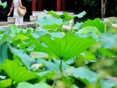 -朵云书院·广富林店