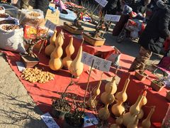 -中环花鸟鱼虫市场