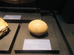 景点-内蒙古博物院