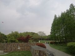 -尚贤河湿地