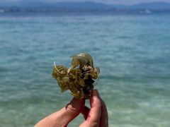 -三亚西岛海洋文化旅游区