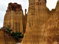 -元谋浪巴铺土林景区